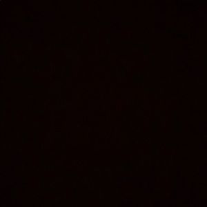 Meet your Posher, Randie